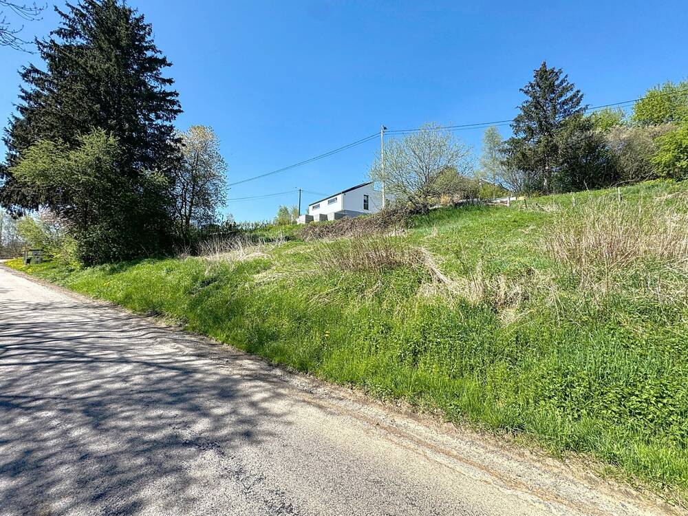 Terrain à à Vaux-sur-Sûre 6640 65000.00€ chambres m² - annonce 478494