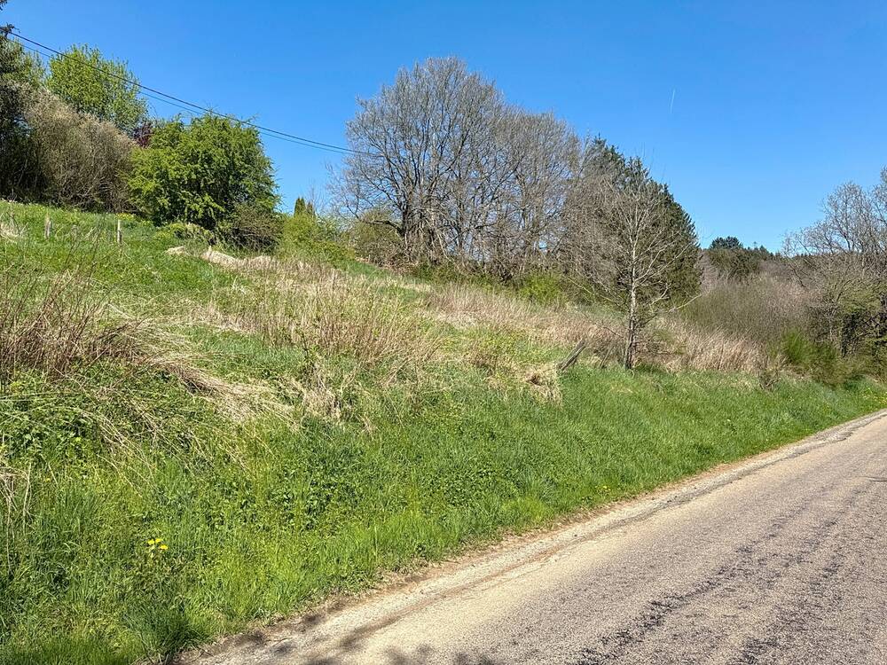 Terrain à à Vaux-sur-Sûre 6640 75000.00€ chambres m² - annonce 478354