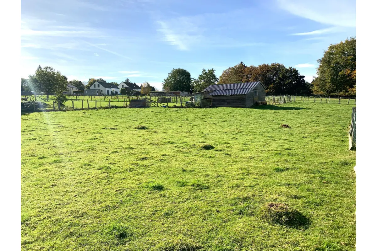 Terrain à vendre à Manhay 6960 75000.00€  chambres m² - annonce 630560