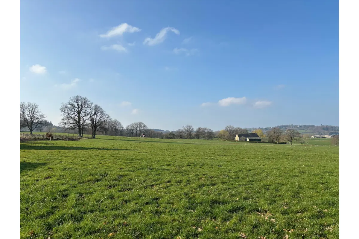 Terrain à vendre à Amonines 6997 150000.00€  chambres m² - annonce 633606