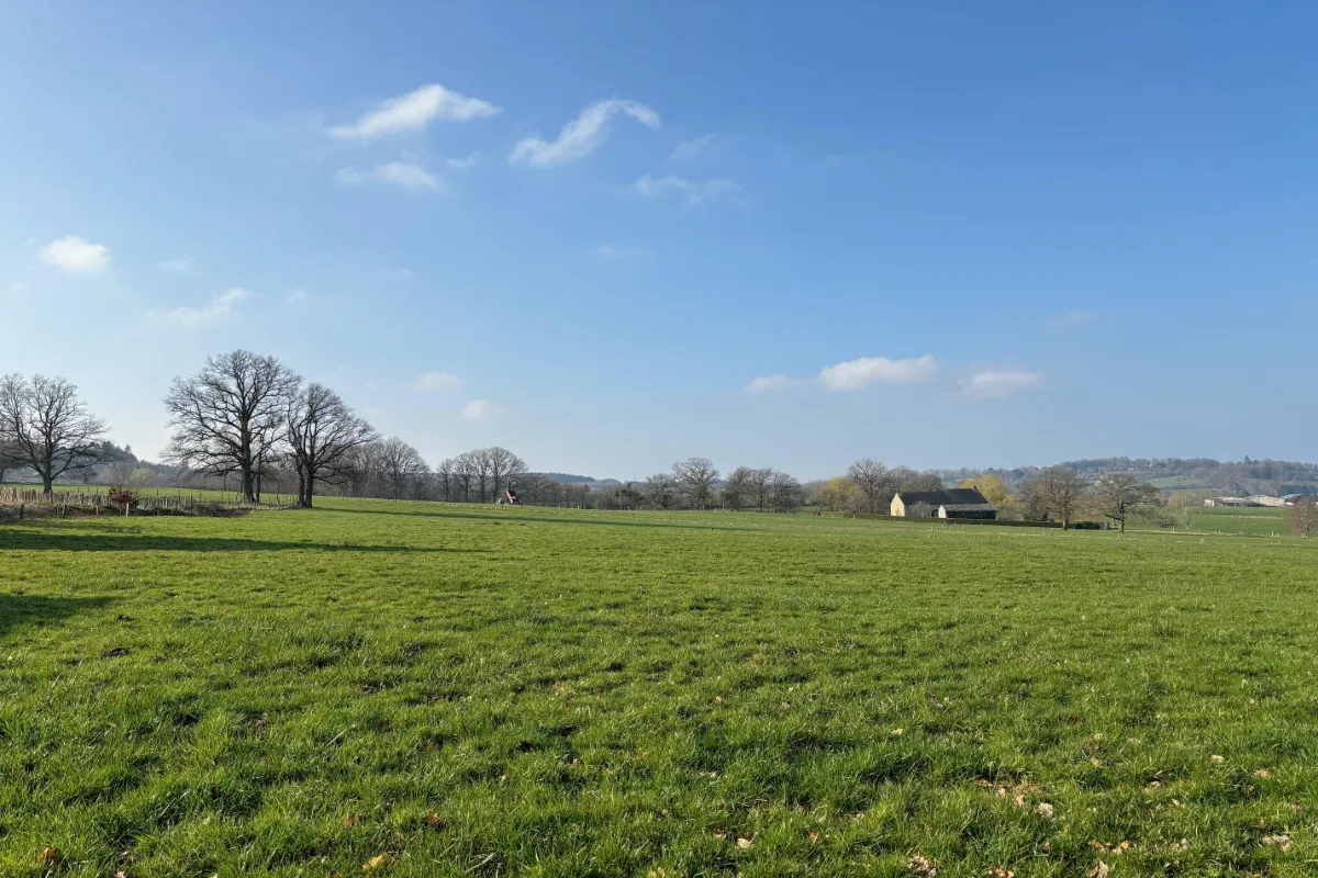 Terrain à vendre à Amonines 6997 150000.00€  chambres m² - annonce 633606