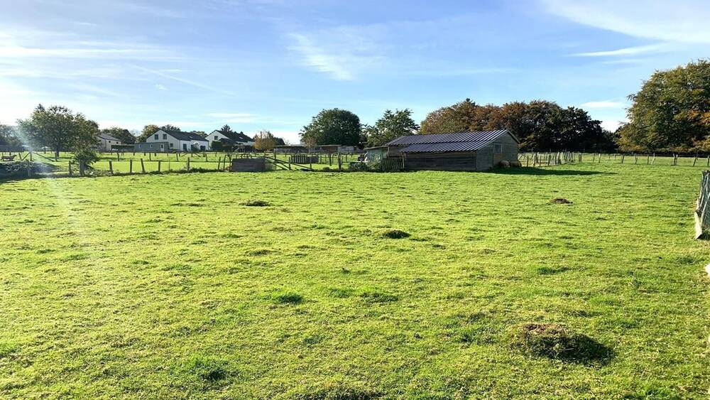 Terrain à vendre à Manhay 6960 75000.00€ chambres m² - annonce 481091