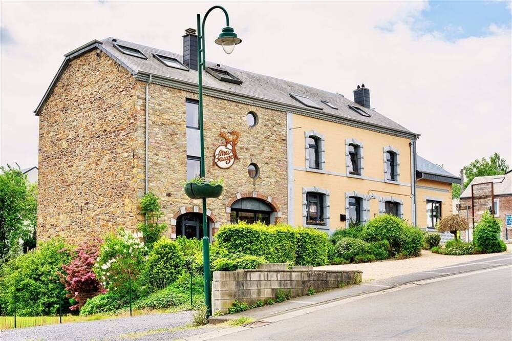 Maison à vendre à Libin 6890 800000.00€ 15 chambres 669.00m² - annonce 491998