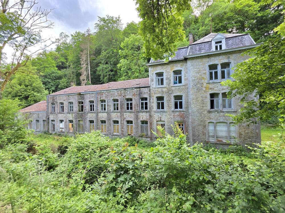 Maison à vendre à Durbuy 6940 980000.00€ 13 chambres 700.00m² - annonce 502534