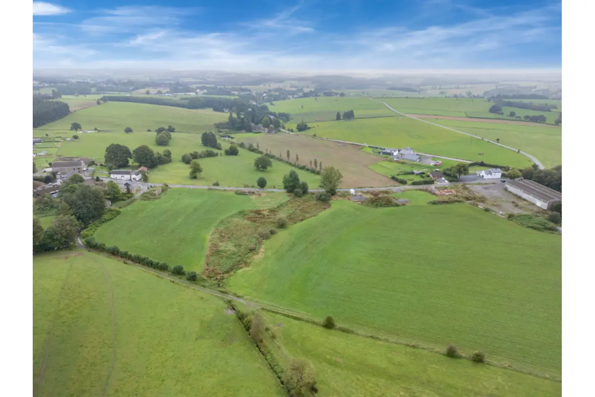 Terrain à bâtir à vendre à Gouvy 6670 350000.00€  chambres m² - annonce 502822