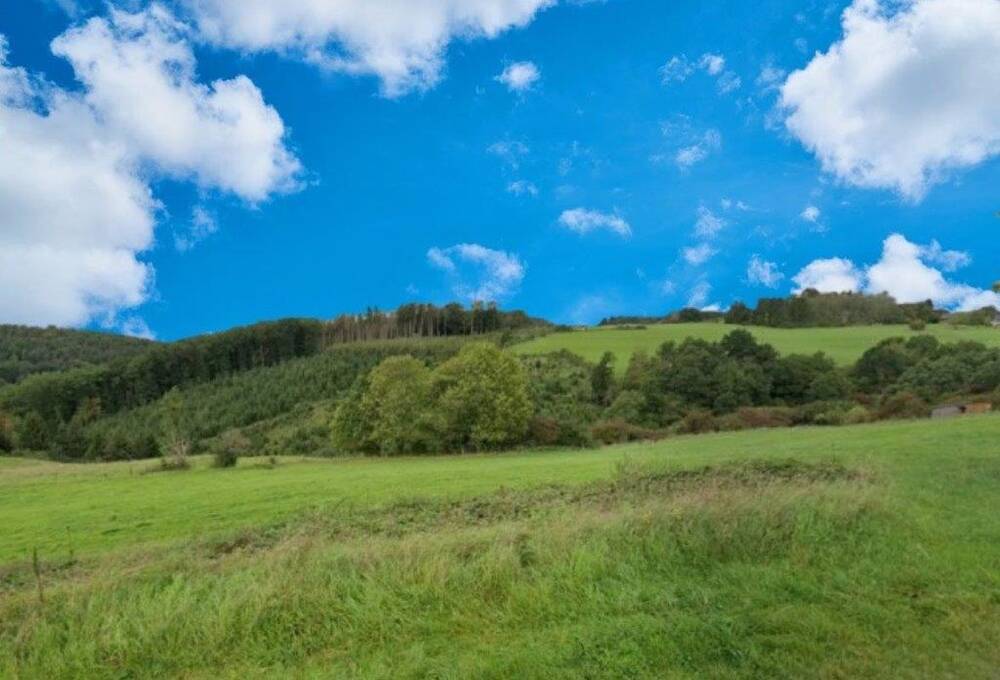 Terrain à vendre à Erezée 6997 65000.00€ chambres m² - annonce 501184