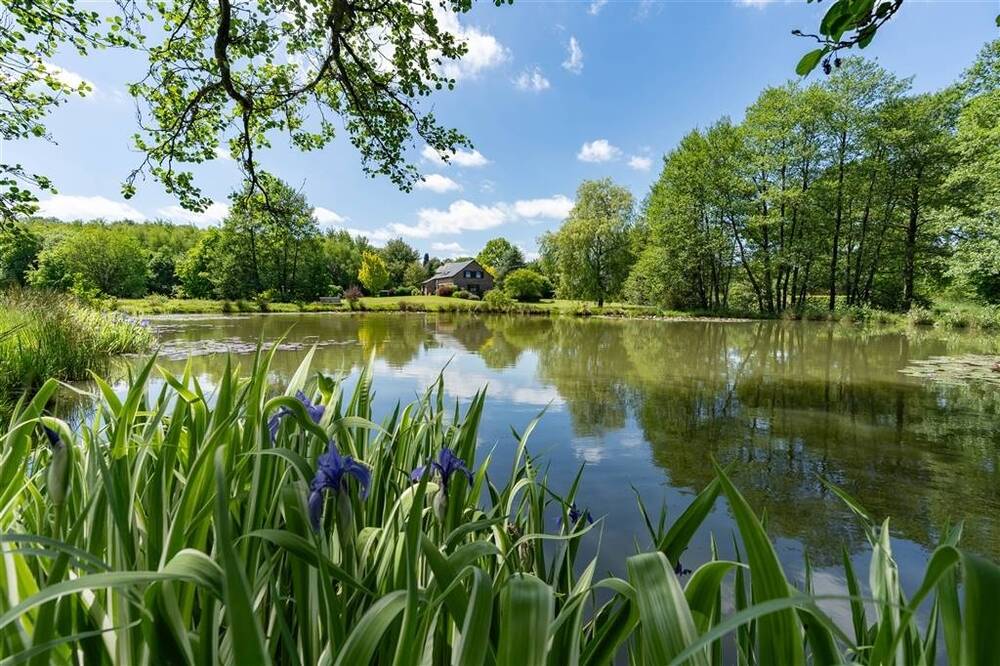 Maison à  à Graide 5555 469000.00€ 3 chambres 253.00m² - annonce 500497
