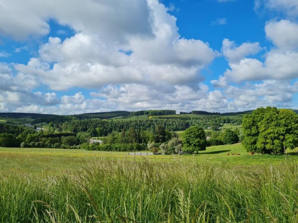 Terrain à vendre à Tenneville 6970 88000.00€ chambres m² - annonce 499487