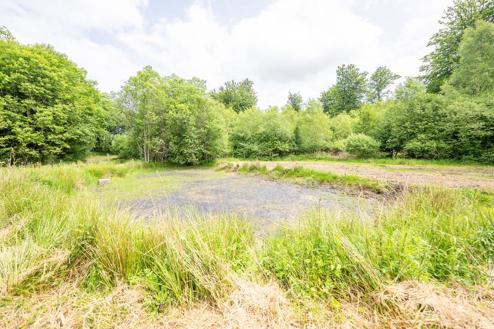 Terrain à vendre à Carlsbourg 6850 119000.00€ chambres m² - annonce 499163