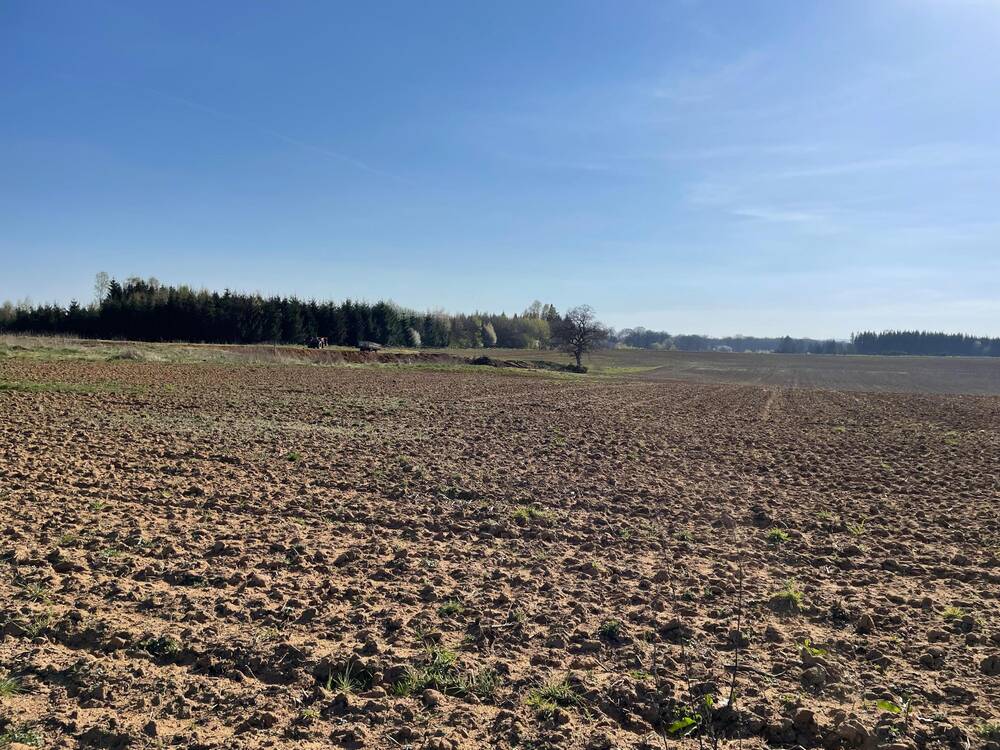 Terrain à vendre à Chassepierre 6824 82000.00€ chambres m² - annonce 498174