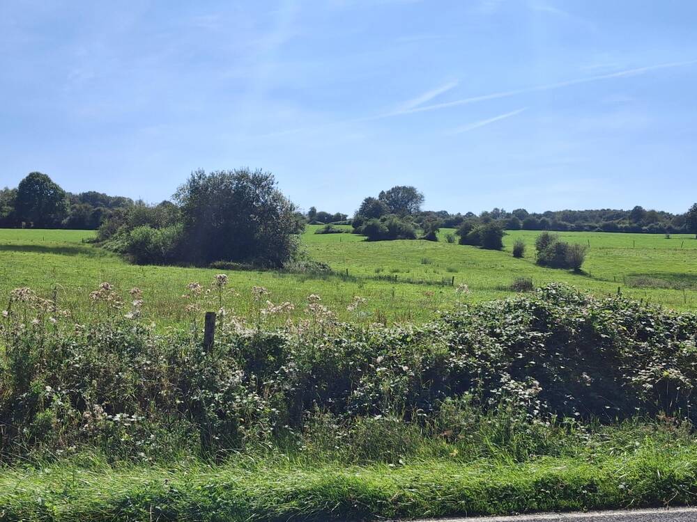 Terrain à vendre à Soy 6997 55000.00€ chambres m² - annonce 498447