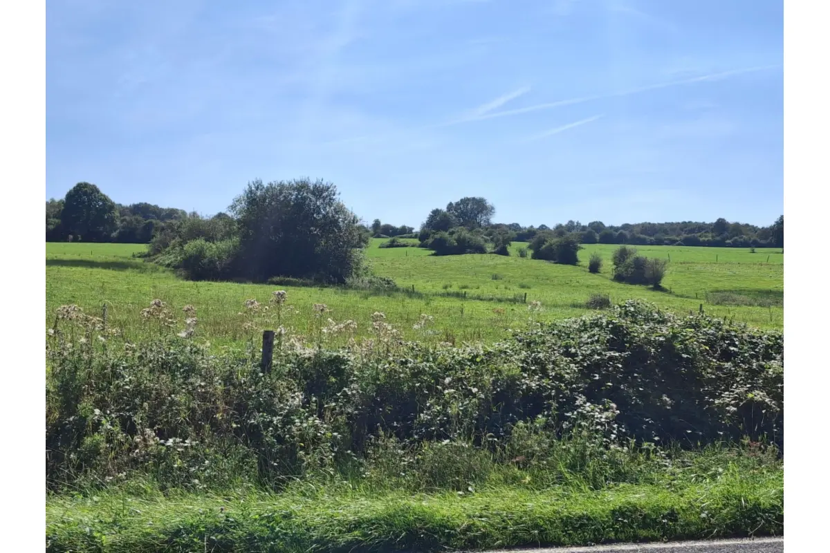 Terrain à bâtir à vendre à Soy 6997 53000.00€  chambres m² - annonce 621172