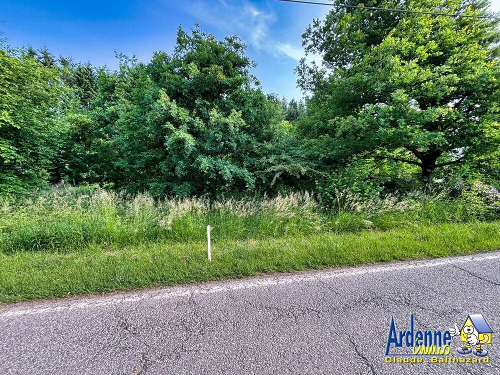 Terrain à vendre à Houffalize 6660 64000.00€ chambres m² - annonce 498040