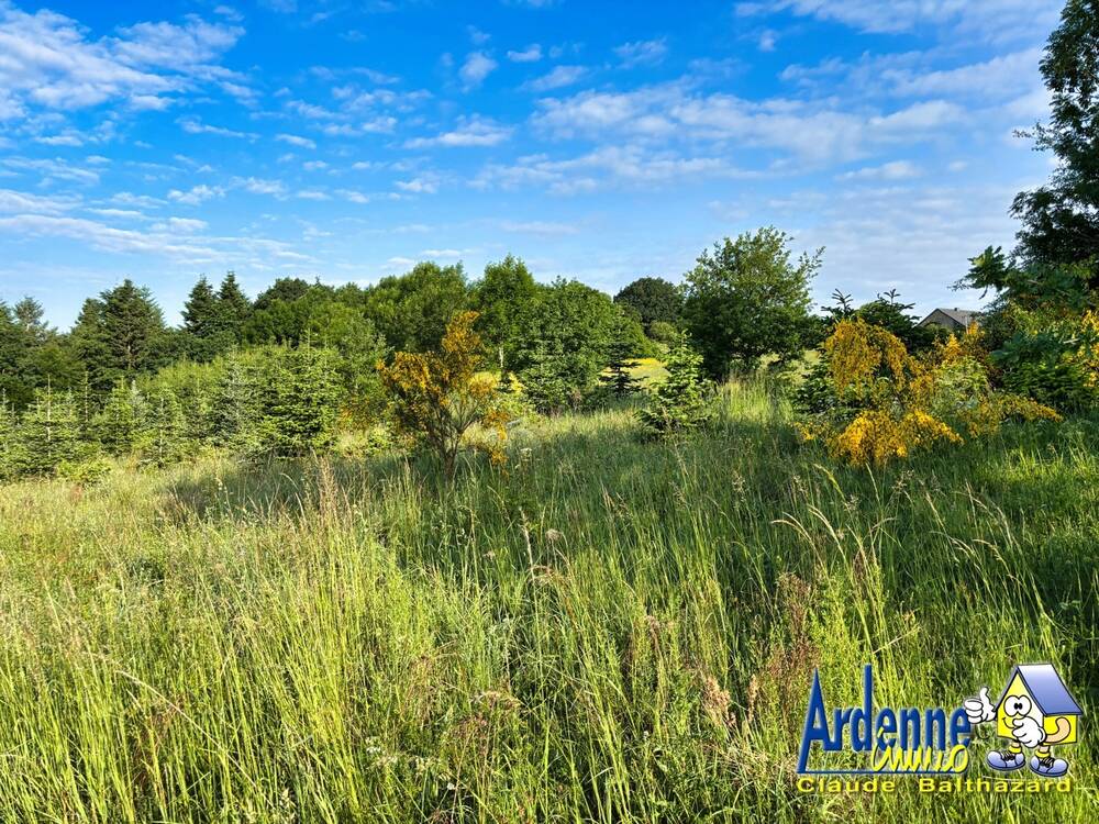 Terrain à vendre à Mabompré 6663 99000.00€ chambres m² - annonce 498131