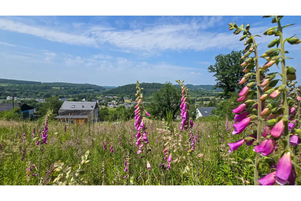 Terrain à vendre à Forrières 6953 59000.00€  chambres m² - annonce 508841