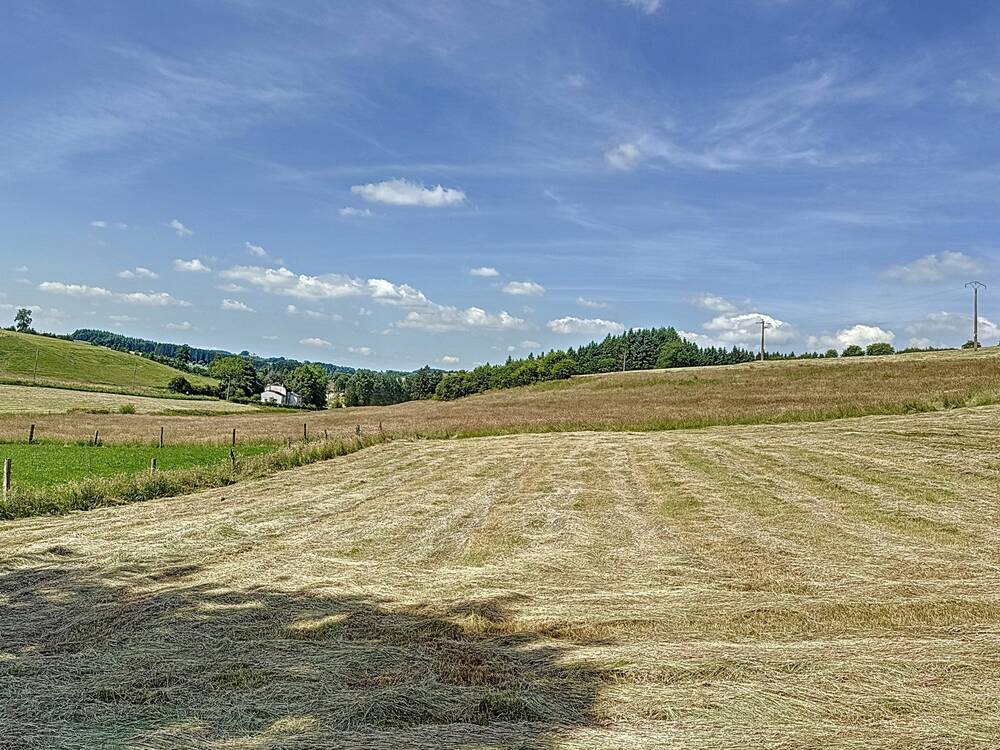 Terrain à à Houffalize 6660 89000.00€ chambres m² - annonce 509534