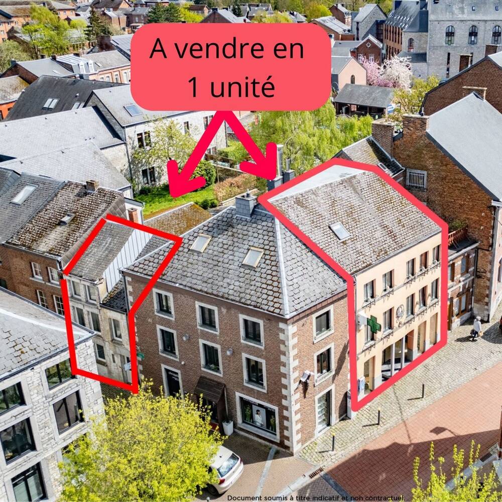 Maison à vendre à Marche-en-Famenne 6900 439000.00€ 7 chambres 379.00m² - annonce 511845