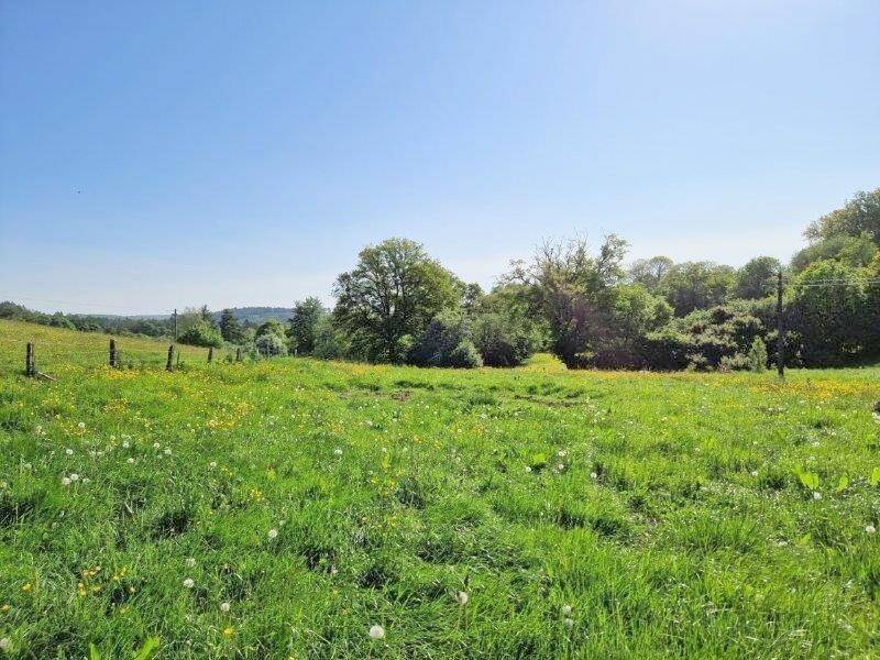Terrain à vendre à Les Hayons 6830 190000.00€ chambres m² - annonce 515055