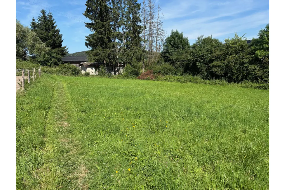 Terrain à vendre à Barvaux-sur-Ourthe 6940 200000.00€  chambres m² - annonce 630557