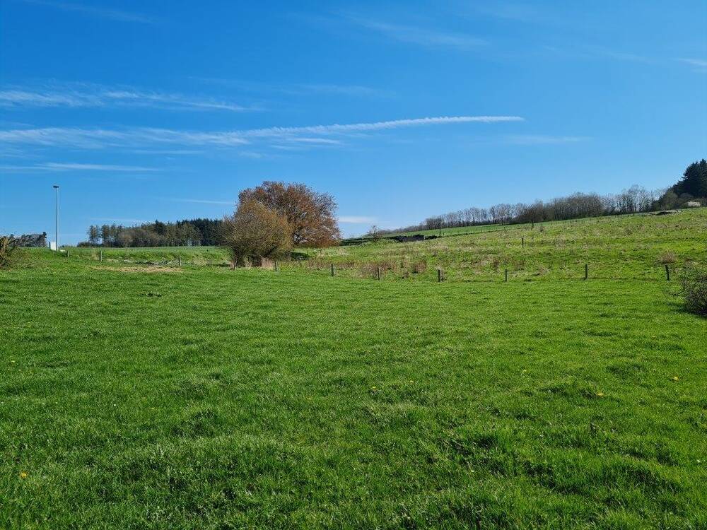 Terrain à vendre à La Roche-en-Ardenne 6980 110000.00€ chambres m² - annonce 520334