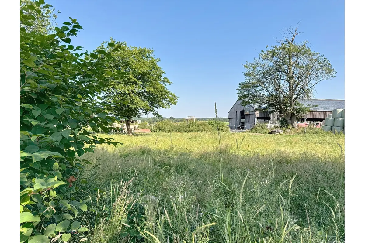 Terrain à vendre à Beho 6672 45000.00€  chambres m² - annonce 522911