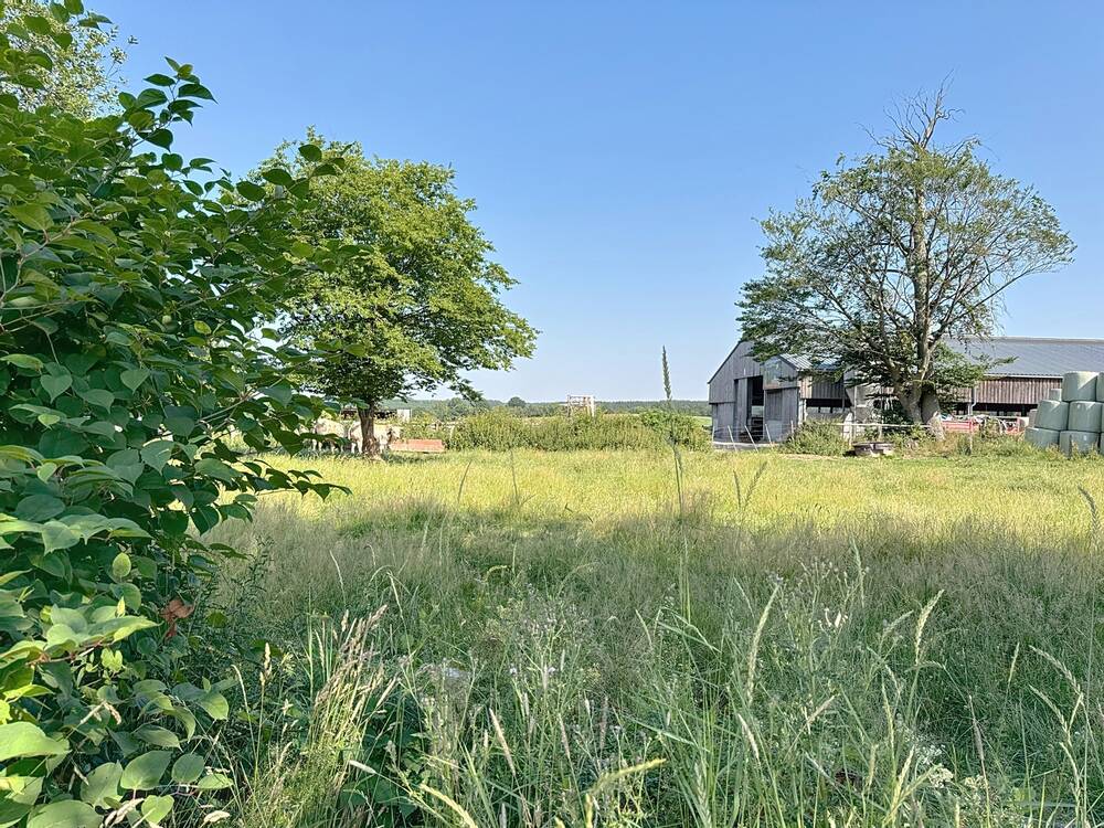 Terrain à vendre à Beho 6672 55000.00€ chambres m² - annonce 522911