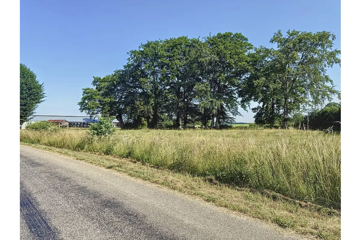 Terrain à vendre à Beho 6672 85000.00€  chambres m² - annonce 522910