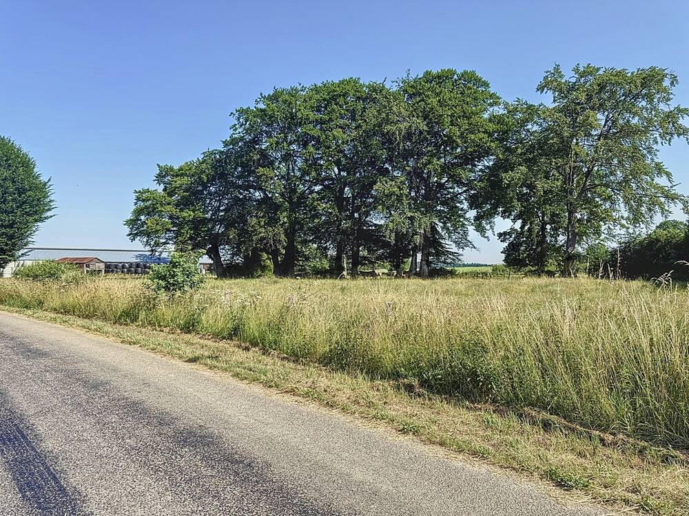 Terrain à vendre à Beho 6672 95000.00€ chambres m² - annonce 522910