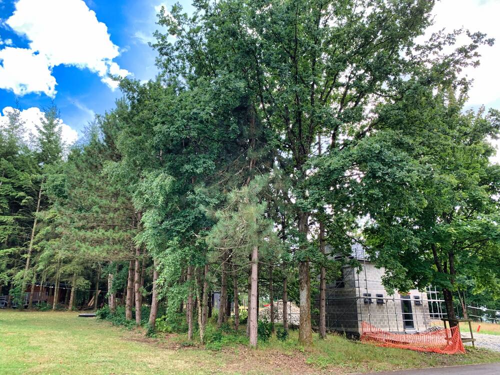 Terrain à vendre à Wibrin 6666 40000.00€  chambres m² - annonce 523035