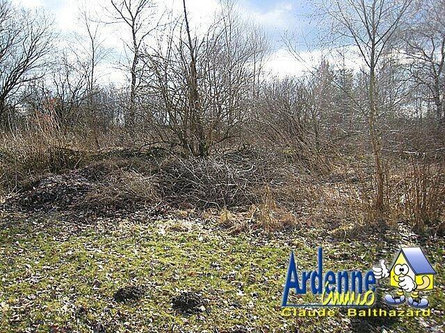 Terrain à vendre à Wibrin 6666 30000.00€ chambres m² - annonce 523035