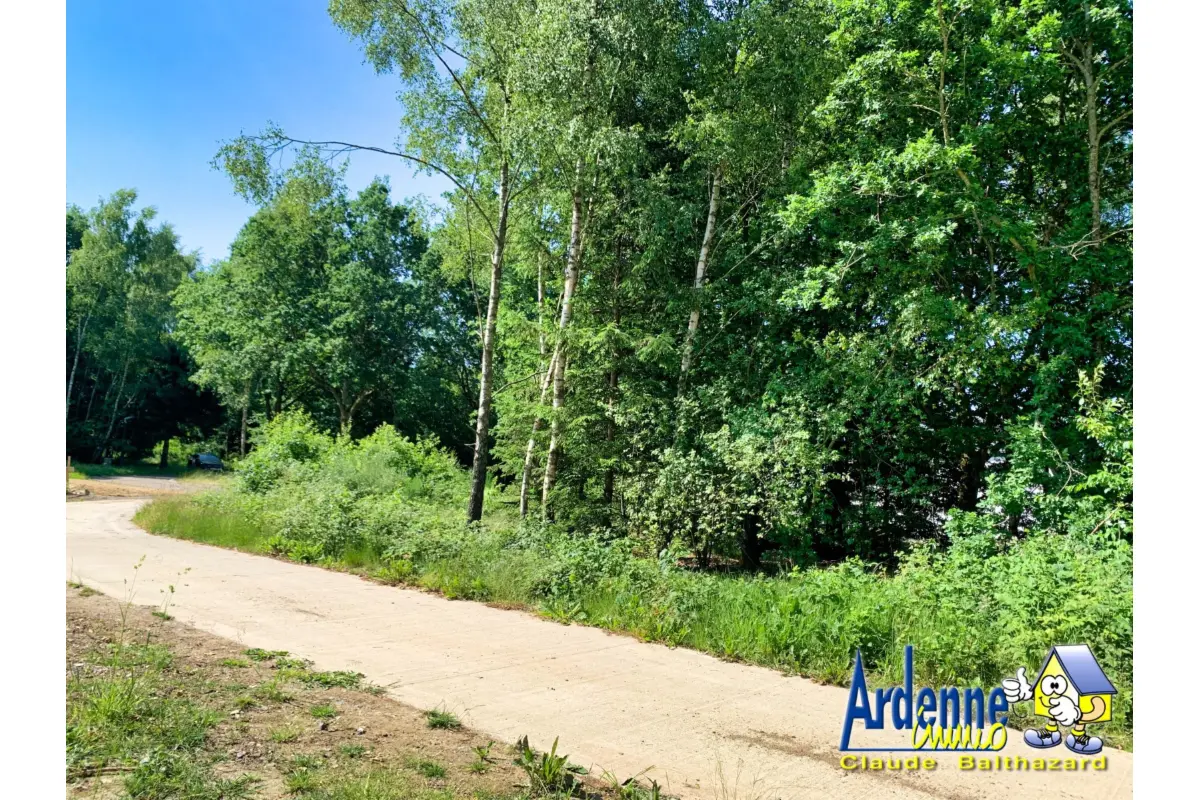 Terrain à vendre à Wibrin 6666 49000.00€  chambres m² - annonce 523037