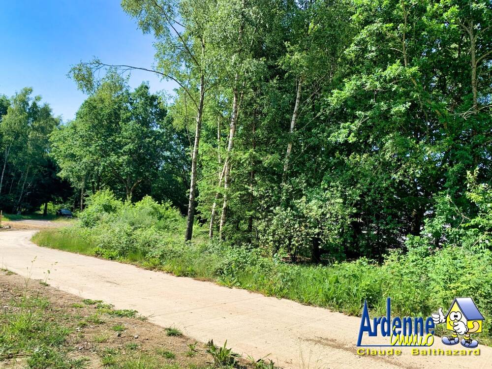 Terrain à vendre à Wibrin 6666 49000.00€ chambres m² - annonce 523037