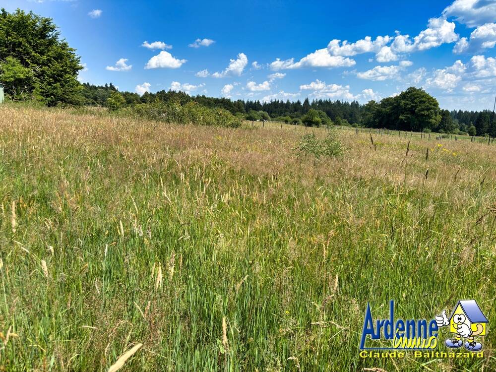 Terrain à à Mont 6661 75000.00€ chambres m² - annonce 523471