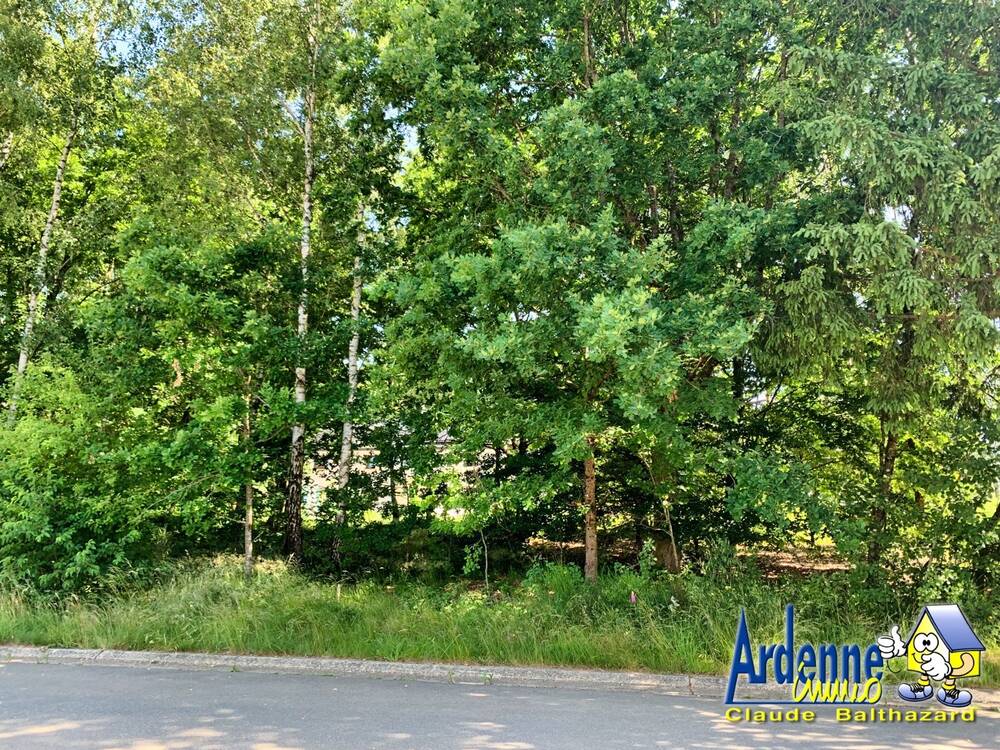 Terrain à vendre à Wibrin 6666 49000.00€ chambres m² - annonce 523036