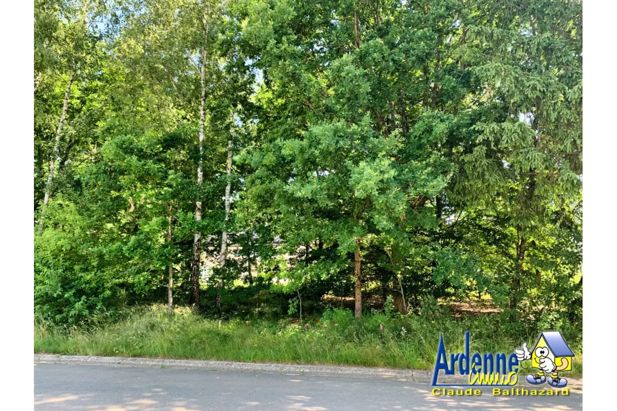 Terrain à vendre à Wibrin 6666 49000.00€  chambres m² - annonce 523036