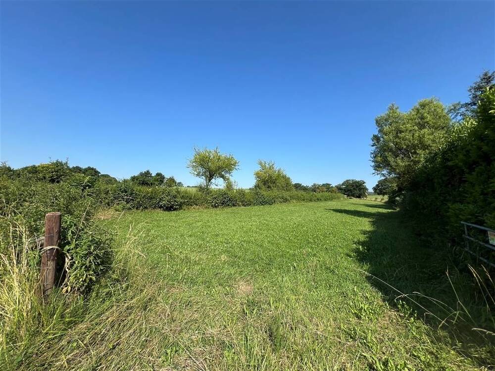 Terrain à à Dampicourt 6767 67000.00€ chambres m² - annonce 528254