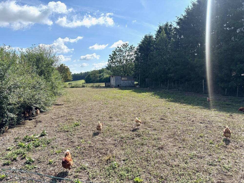 Terrain à vendre à Barvaux-sur-Ourthe 6940 60000.00€ chambres m² - annonce 528954