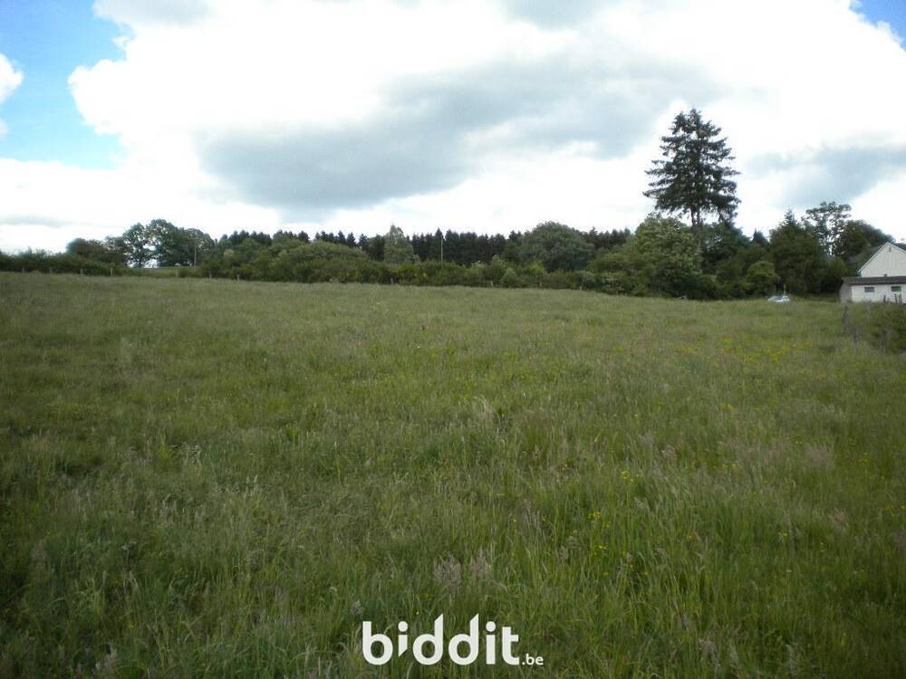 Terrain à bâtir à vendre à Vielsalm 6690 130000.00€  chambres m² - annonce 530281