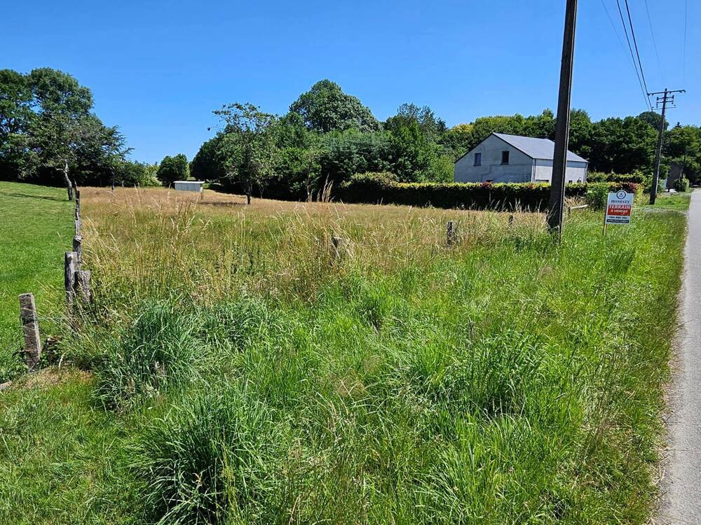 Terrain à vendre à Mont 6661 99000.00€ chambres m² - annonce 531411