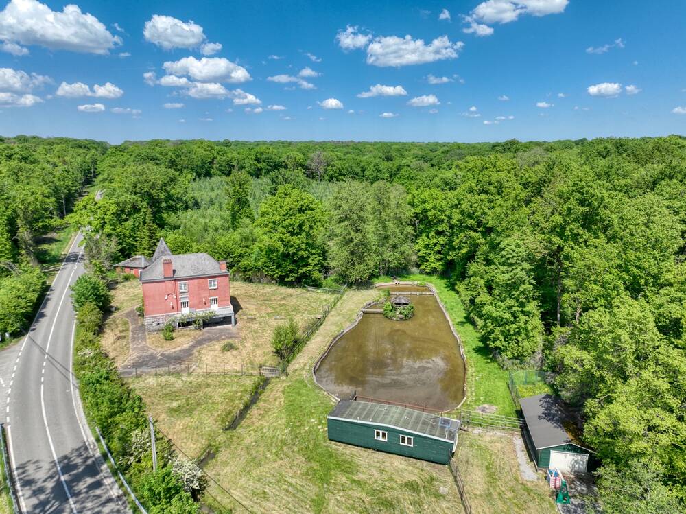 Maison de maître à vendre à Fronville 6990 375000.00€ 4 chambres 200.00m² - annonce 533727