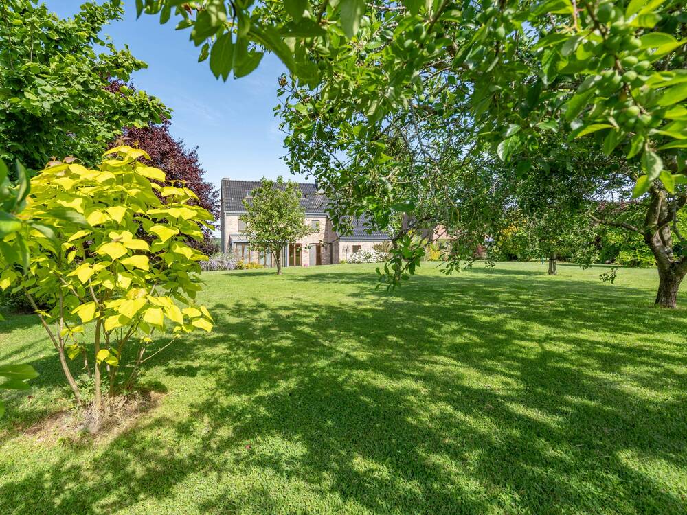 Maison à vendre à Hotton 6990 0.00€ 4 chambres 238.48m² - annonce 577669