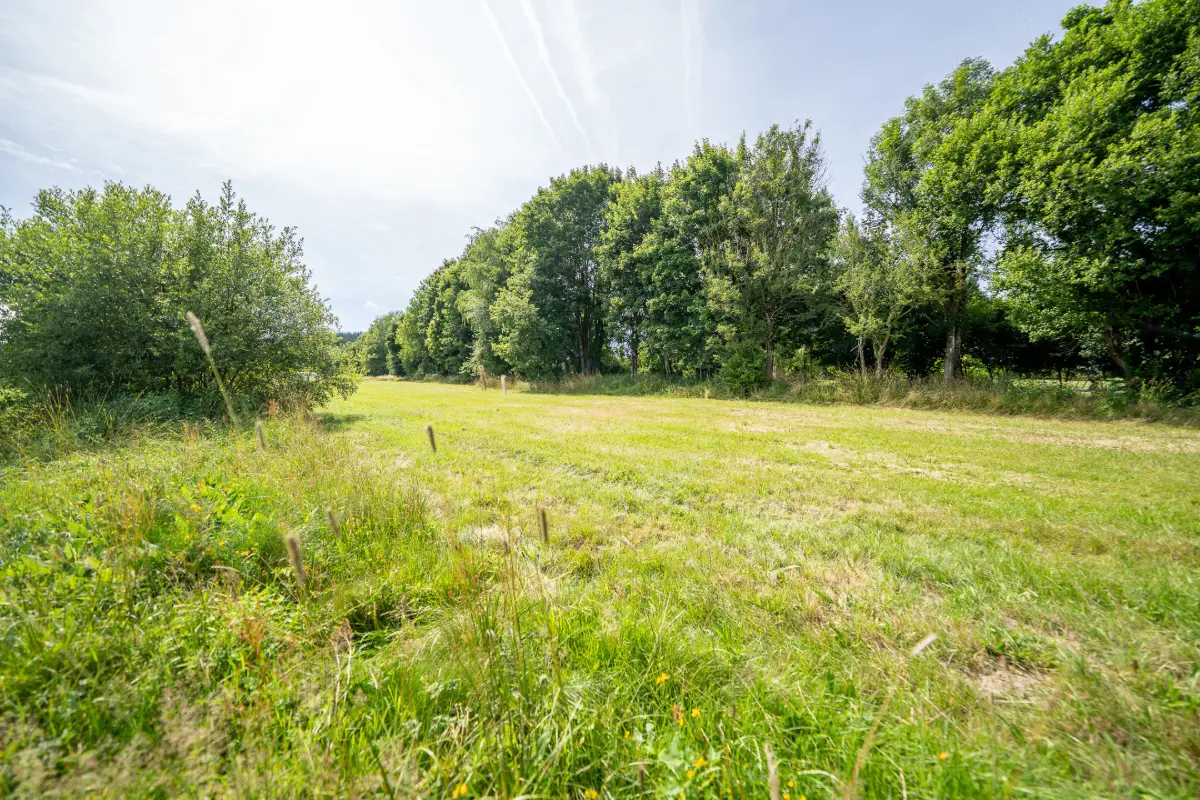 Terrain à vendre à Libramont-Chevigny 6800 79000.00€  chambres m² - annonce 610892