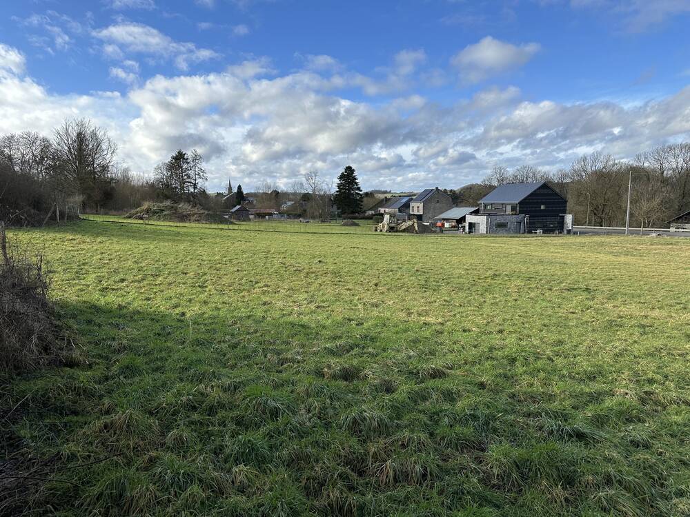 Terrain à bâtir à vendre à Resteigne 6927 150000.00€  chambres m² - annonce 536756