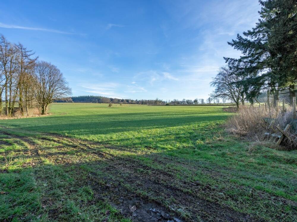 Terrain à bâtir à vendre à Libramont-Chevigny 6800 85000.00€  chambres m² - annonce 540448