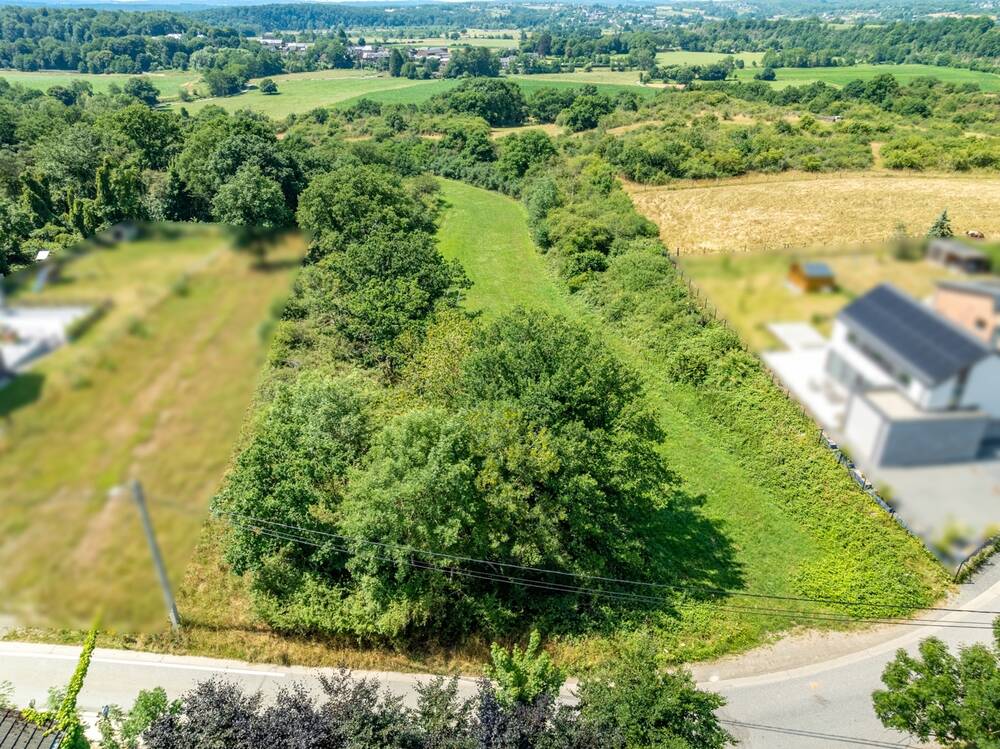 Terrain à  à Hotton 6990 125000.00€  chambres m² - annonce 542924