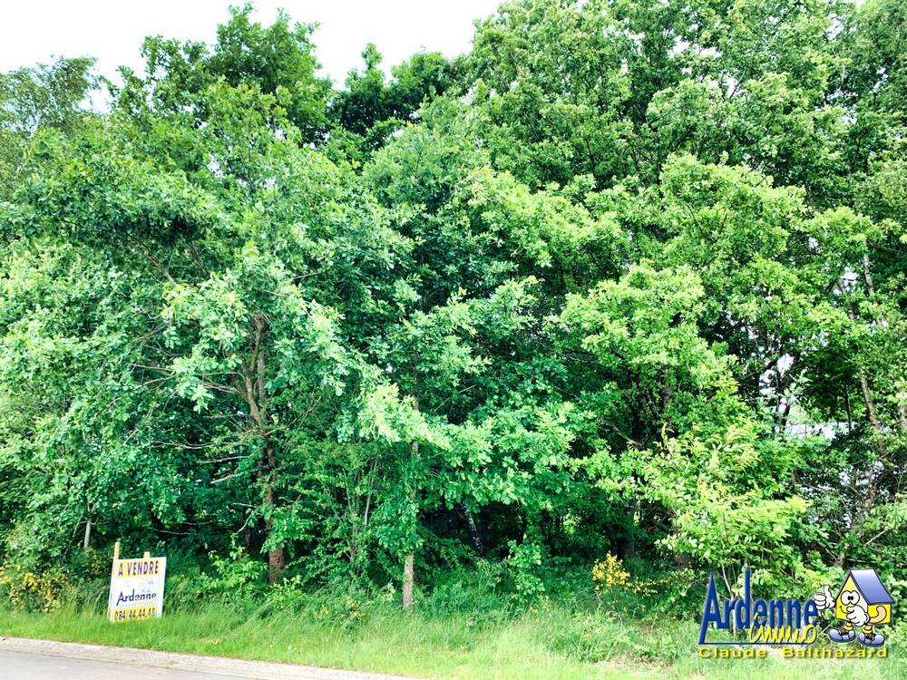 Terrain à vendre à Wibrin 6666 29500.00€ chambres m² - annonce 546412