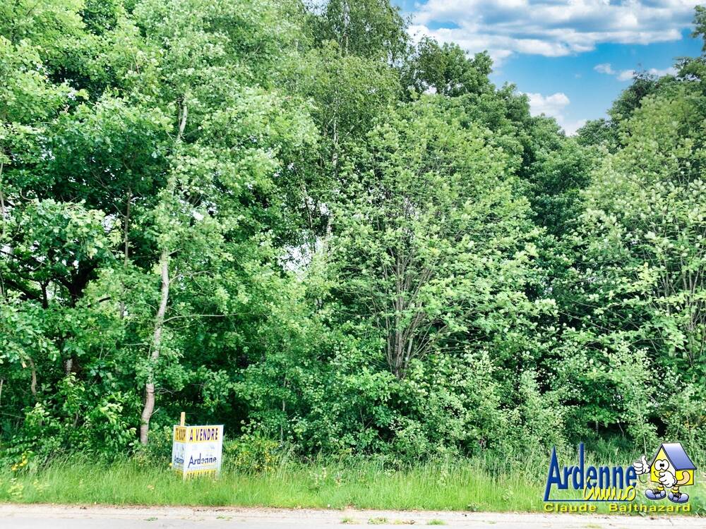 Terrain à vendre à Wibrin 6666 29500.00€ chambres m² - annonce 546413