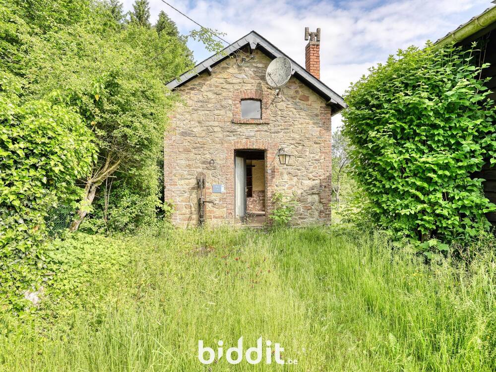 Maison à vendre à Porcheresse 6929 40000.00€ 1 chambres m² - annonce 549216