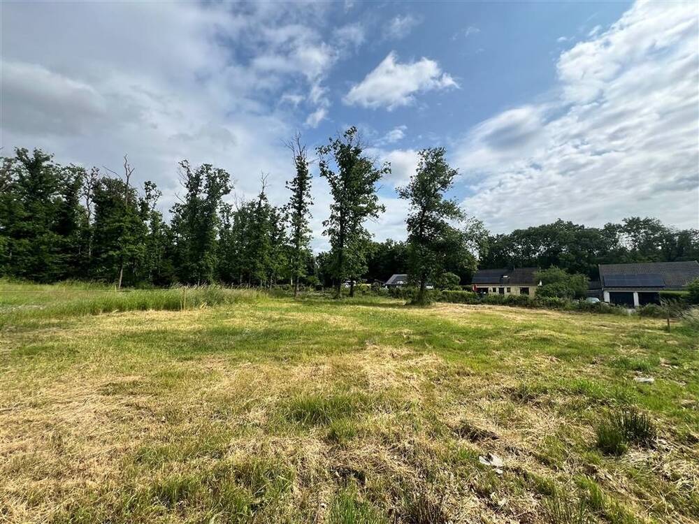 Terrain à vendre à Aye 6900 99000.00€ chambres m² - annonce 548611