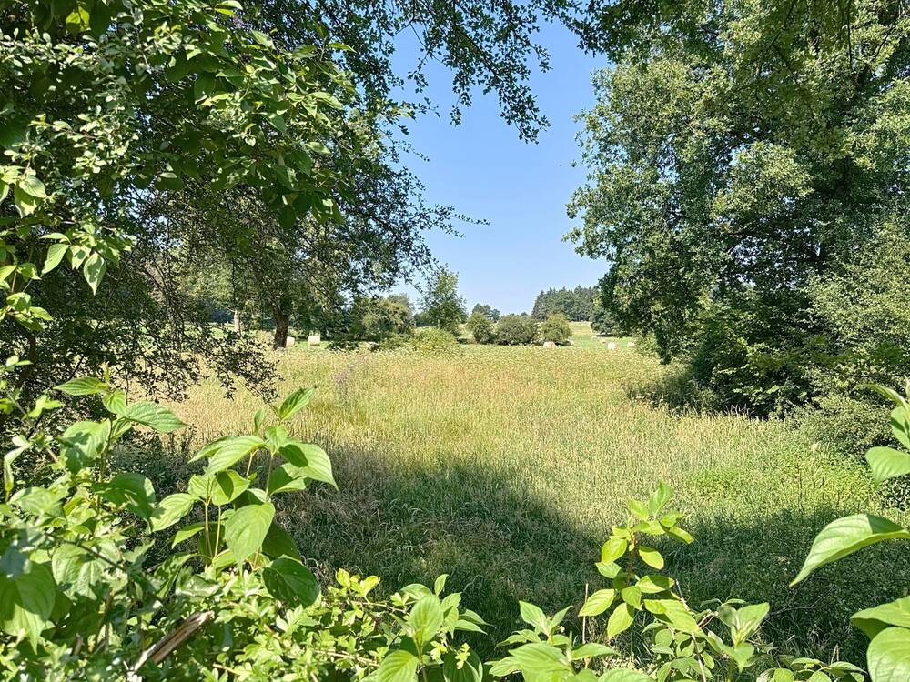 Terrain à vendre à Bastogne 6600 80000.00€ chambres m² - annonce 551052